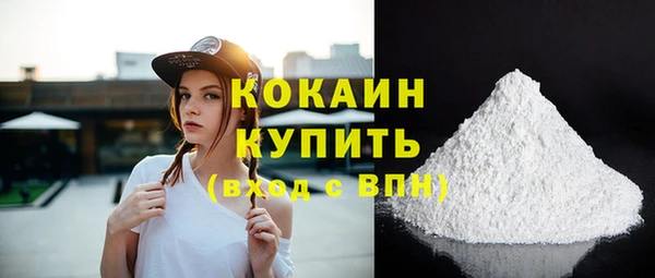 молекула духа Надым