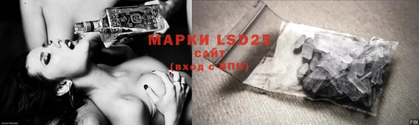 молекула духа Надым