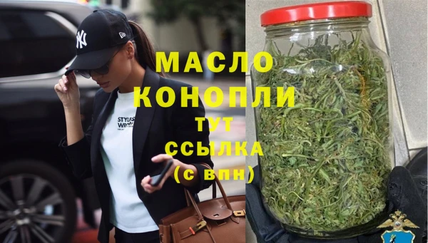 молекула духа Надым