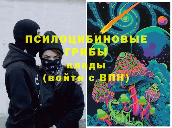 винт Ахтубинск