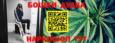 прущие крисы Будённовск