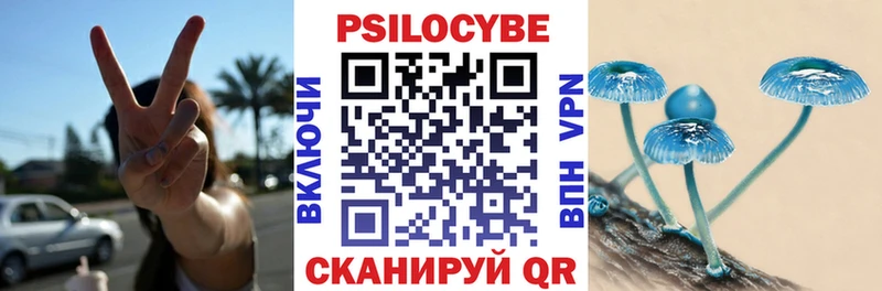 Псилоцибиновые грибы MAGIC MUSHROOMS купить наркоту Ессентуки