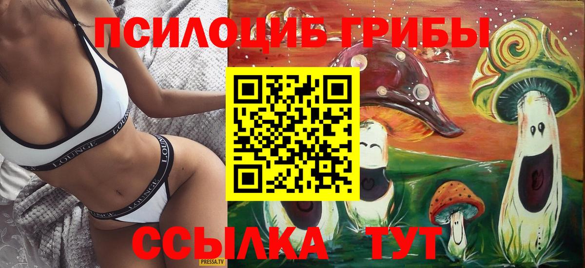 Псилоцибиновые грибы ЛСД Ессентуки