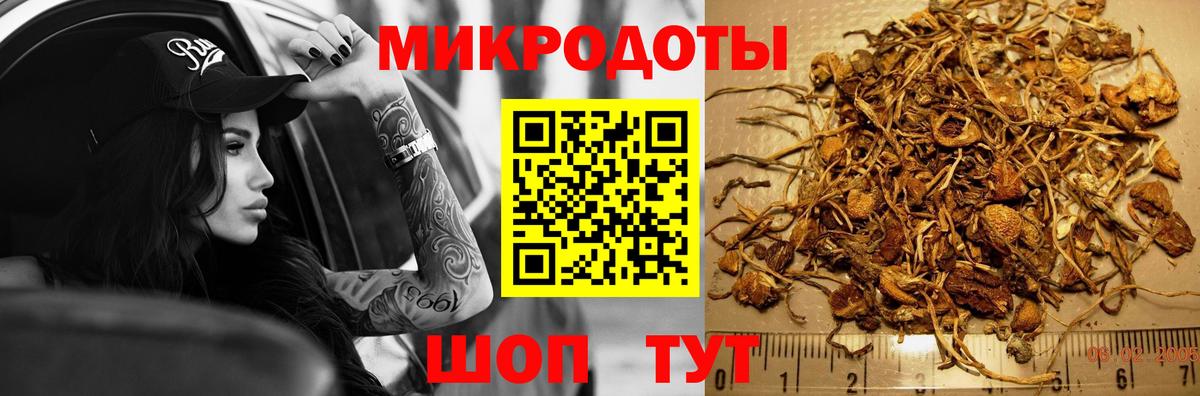 Ессентуки  Псилоцибиновые грибы Magic Shrooms  Вход с VPN  Псилоцибиновые грибы MAGIC MUSHROOMS 