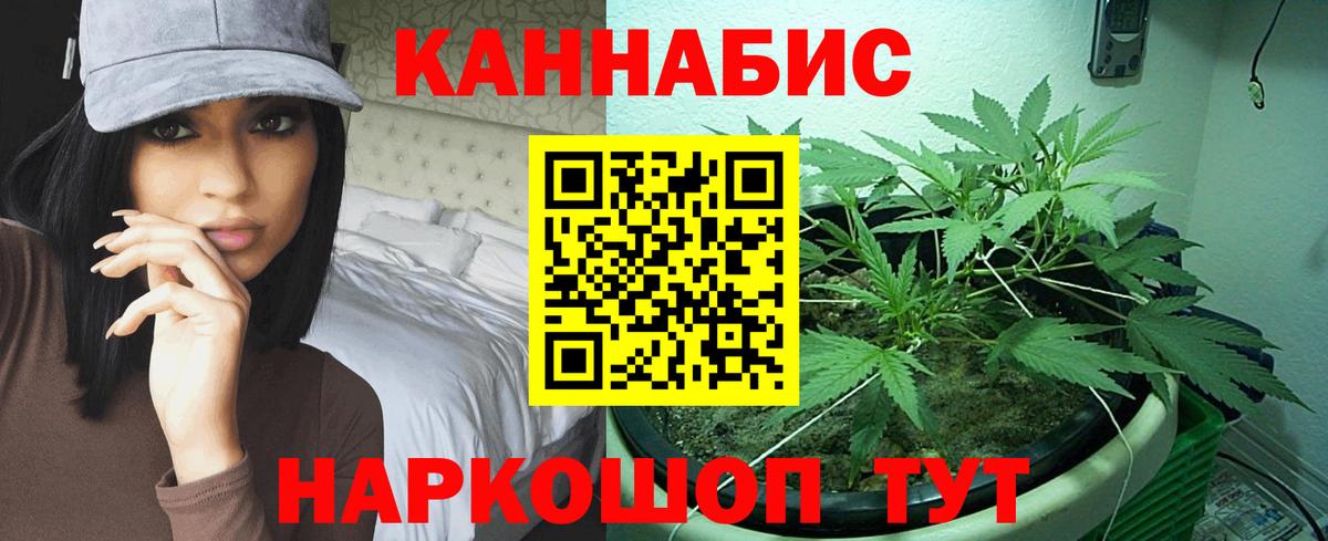 Конопля конопля  Ессентуки  Канабис гибрид  Каннабис конопля 